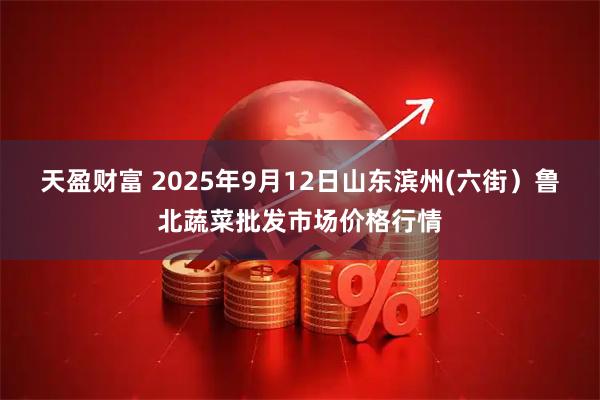 天盈财富 2025年9月12日山东滨州(六街）鲁北蔬菜批发市场价格行情